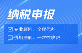 纳税申报