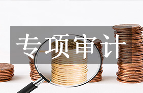 专项审计