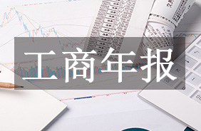 工商年报