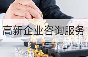 高新技术企业咨询服务