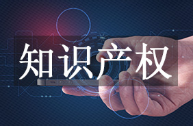 知识产权