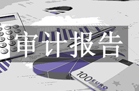 审计报告