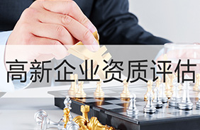 高新技术企业资质评估报告